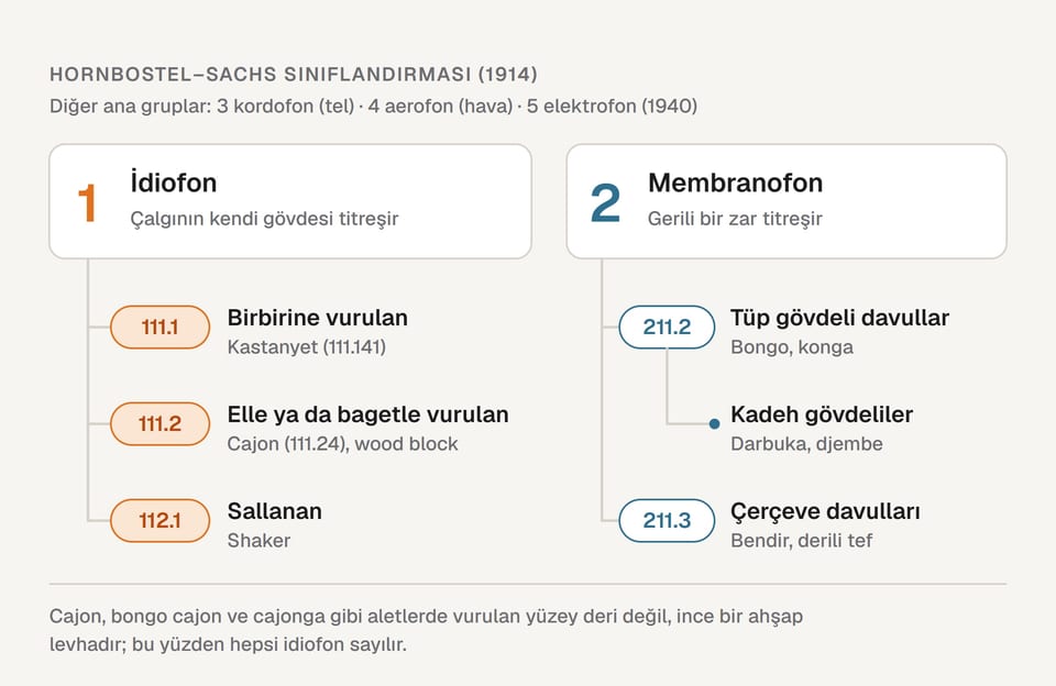 Hornbostel–Sachs sınıflandırma ağacı: idiofonlarda 111.1 birbirine vurulanlar (kastanyet), 111.2 elle ya da bagetle vurulanlar (cajon, wood block) ve 112.1 sallananlar (shaker); membranofonlarda 211.2 tüp gövdeli davullar (bongo, konga; kadeh gövdeli darbuka ve djembe) ve 211.3 çerçeve davulları (bendir, derili tef)