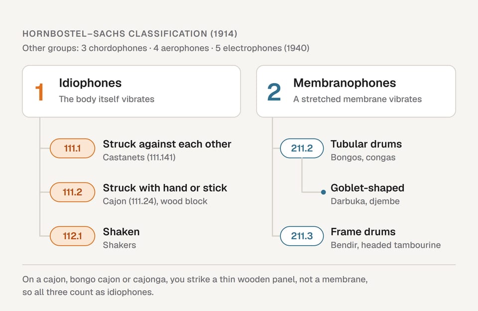 Hornbostel–Sachs classification tree: idiophones split into 111.1 struck against each other (castanets), 111.2 struck with a hand or stick (cajon, wood block) and 112.1 shaken (shakers); membranophones into 211.2 tubular drums (bongos, congas, with the goblet-shaped darbuka and djembe) and 211.3 frame drums (tambourine, bendir)