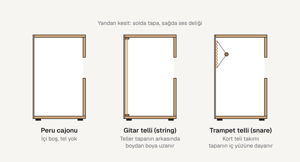 Üç cajonun yandan kesiti: içi boş Peru cajonu, tapanın arkasında boydan boya teller uzanan gitar telli cajon ve kort teli takımı tapanın iç yüzüne dayanan trampet telli cajon