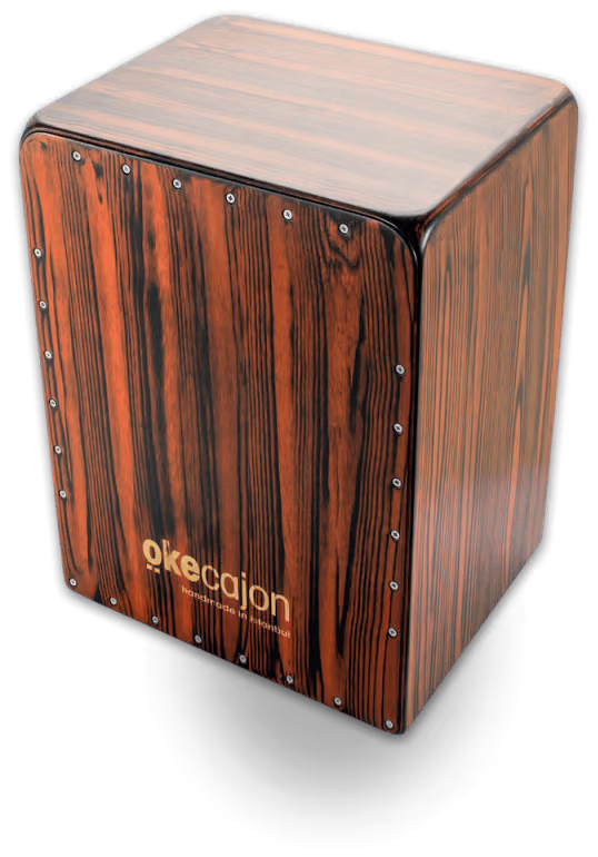 Bass Cajon S-Pro, photo 7